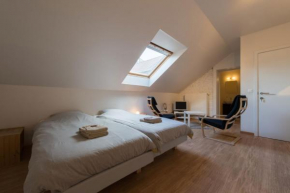  B&B 't Maanhof  Гингелом